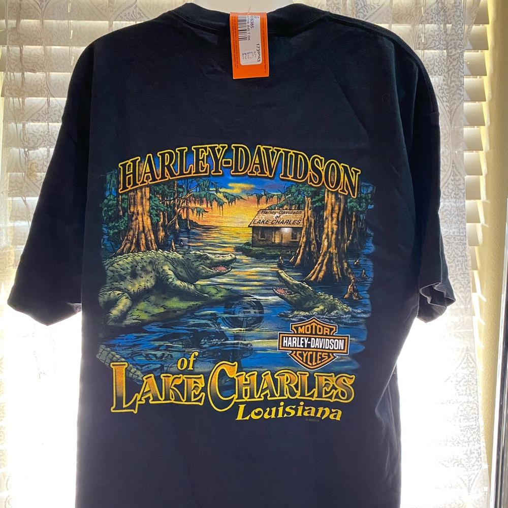 (L) NWT Harley-Davidson Lake of Charles Tee